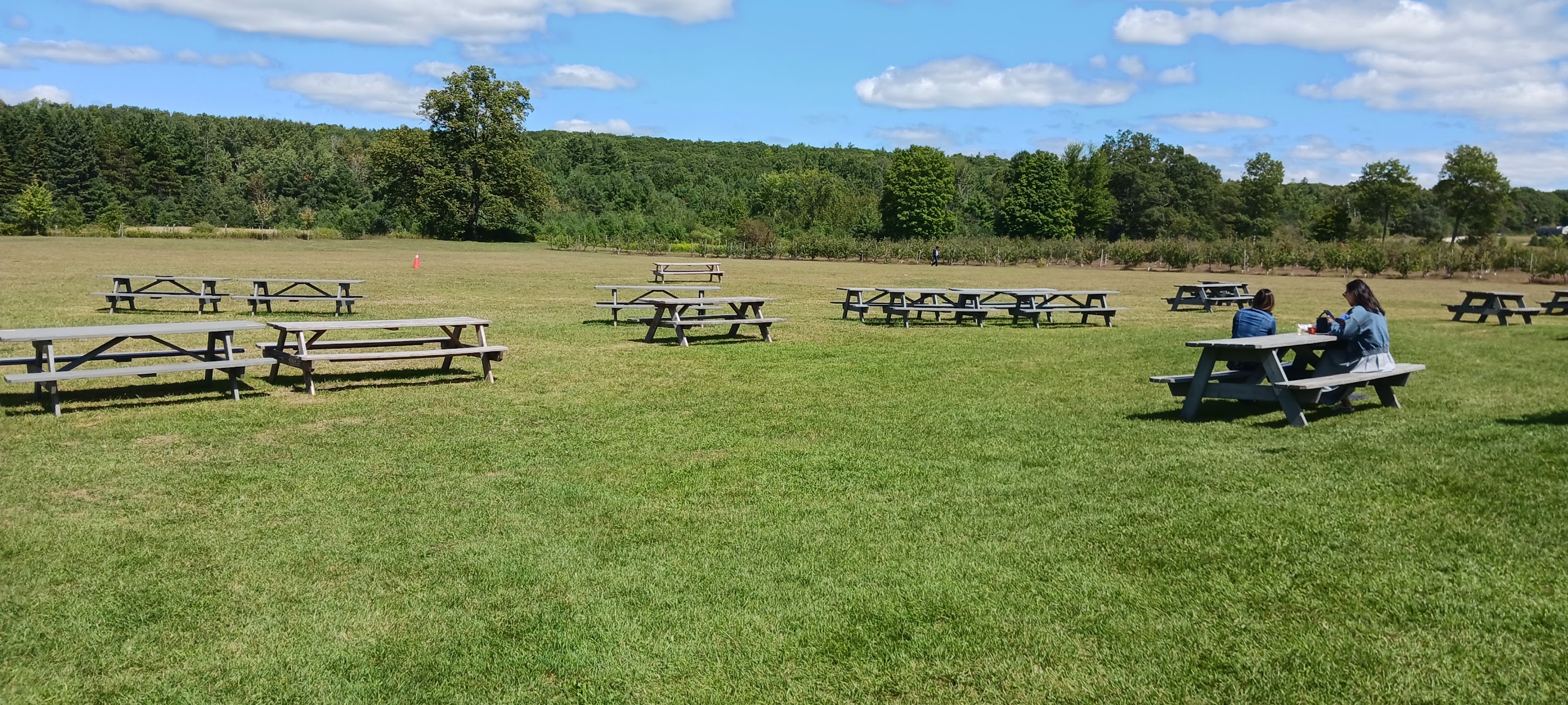 Sprawling outdoor patio with potential for family activities